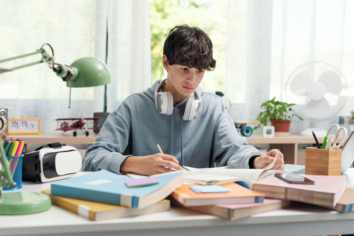 Menino atento estudando os diferentes tipos de sujeitos.