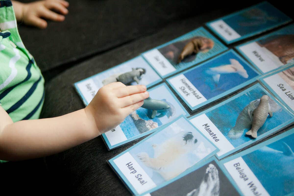 Criança usando jogo da memória para aprender inglês.